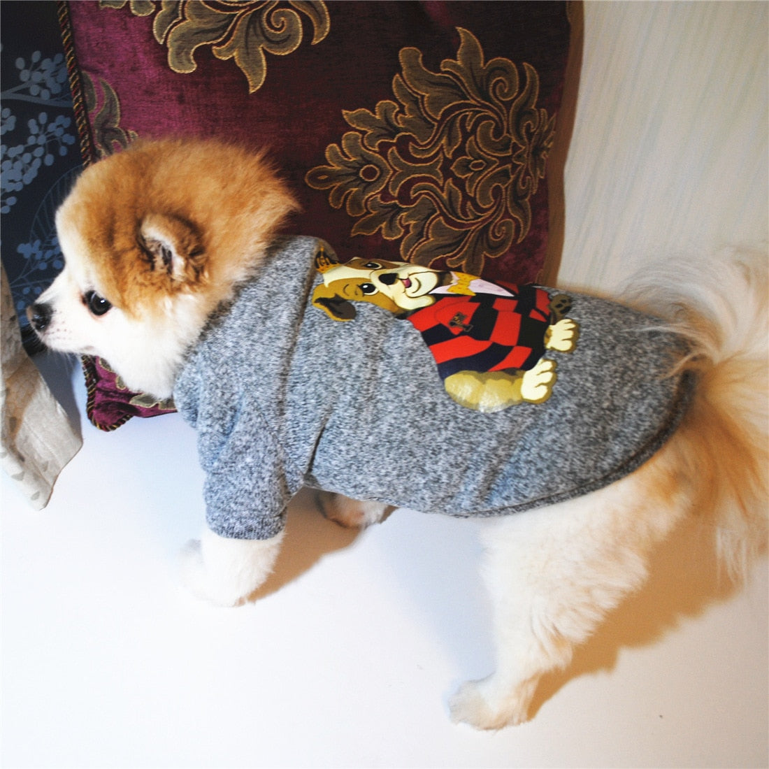 Fashion Dog Clothes