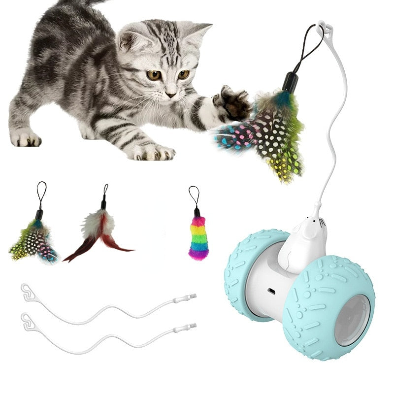interactive electronic with mouse and feathers toys3