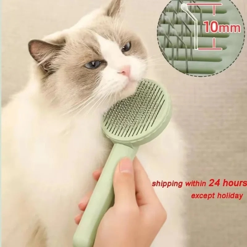 Cat Brush Pet Grooming Brush for Cats