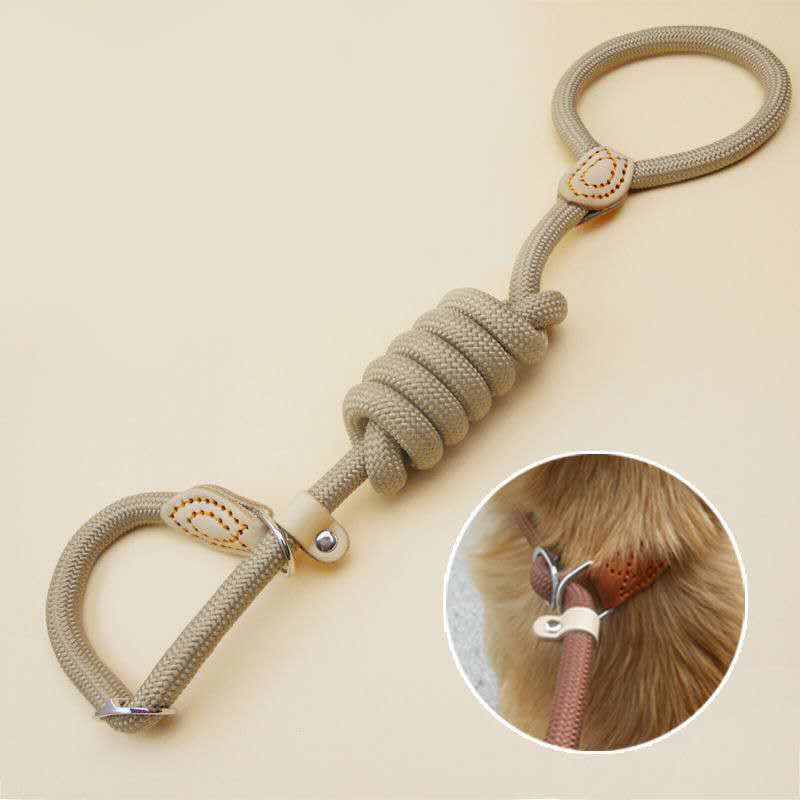 braided slip rope dog leash2