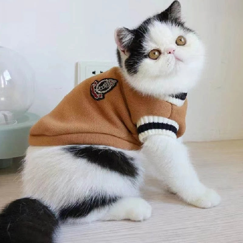 College Style Cat Sweater