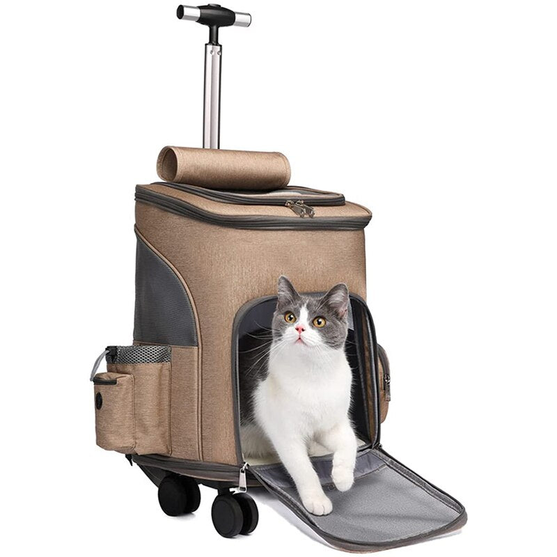 Cat Travel Carrier Car Seat for Small