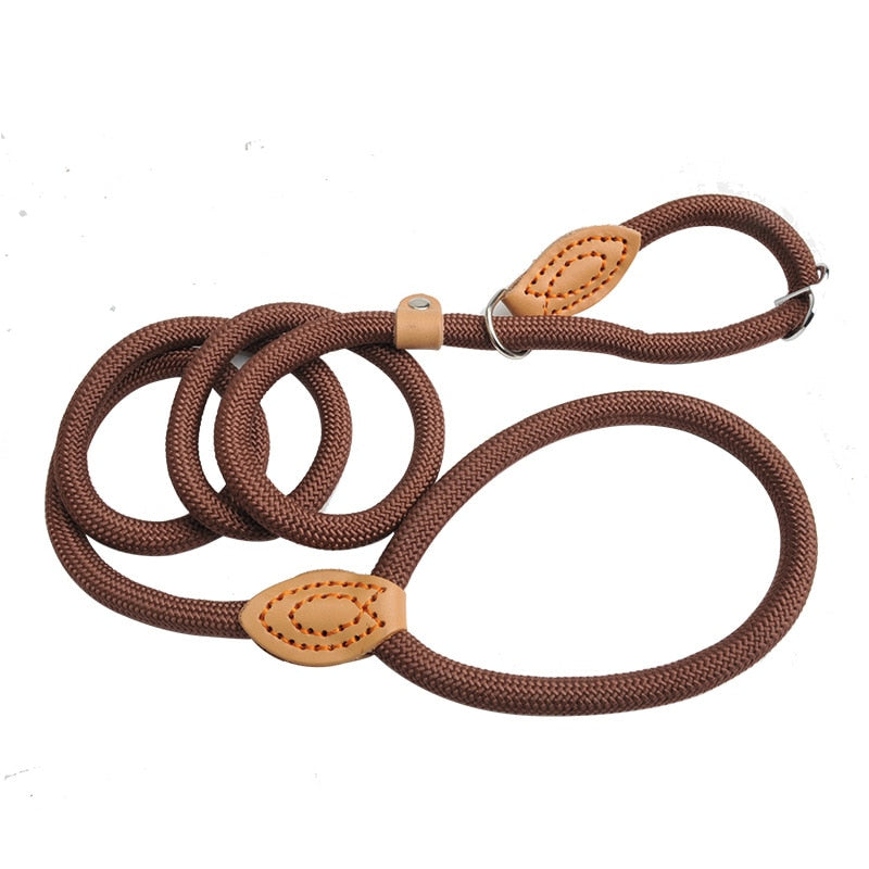braided slip rope dog leash10