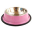 cat dog feeder color water bowl5