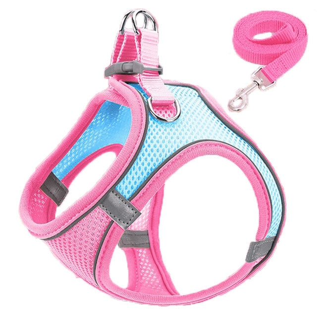 cat reflective adjustable harnesses & leashes set2