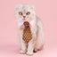 Cat Necktie Gentleman