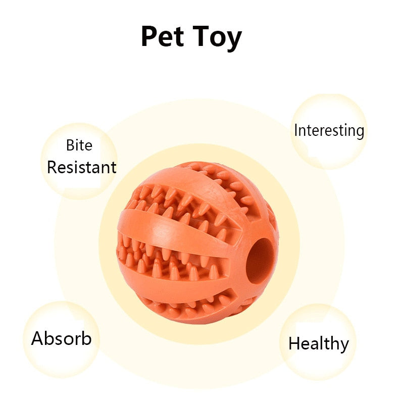 Food Fun Bite Resistant Health Safety Pet Accessories