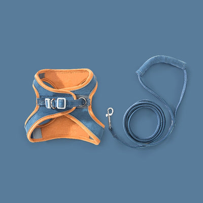 CAWAYI KENNEL Pet Harness + Leash Set Training Walking Leads for Small Cats