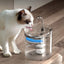 Cat Water Fountain Activated Carbon