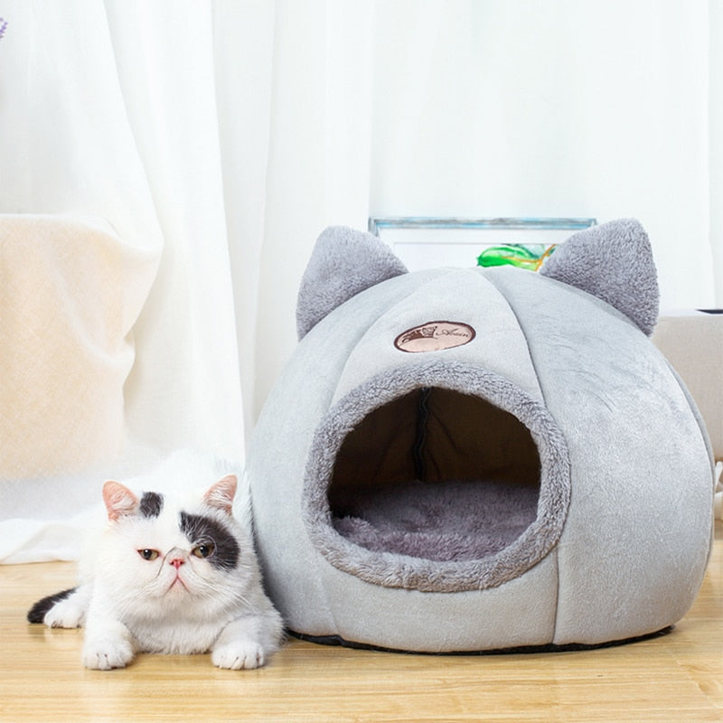 Cat Beds for Small Medium