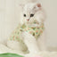 Floral Cat Clothes Thin Pink Flower Print Clothes