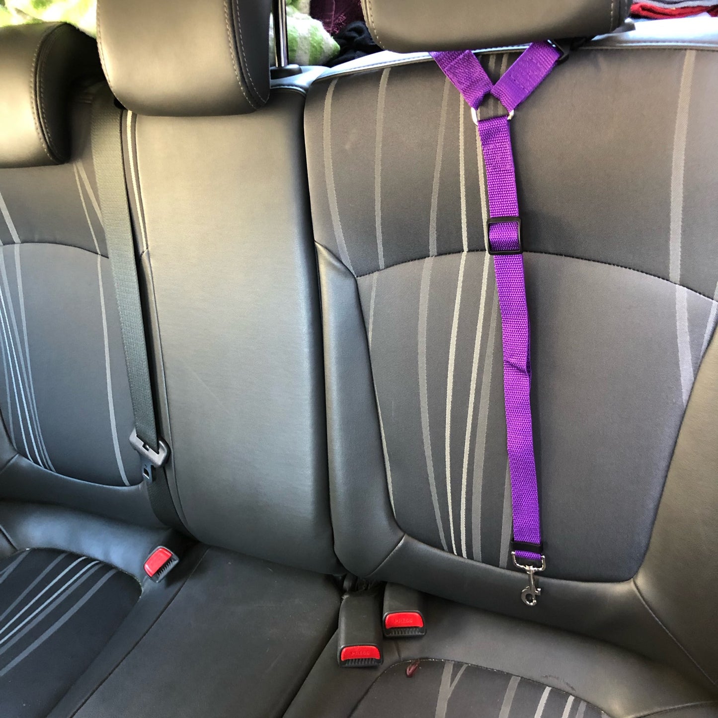Nylon Lead Leash Backseat Safety Belt