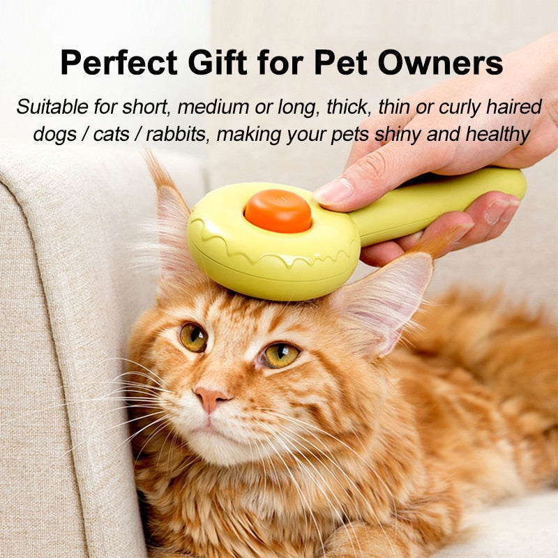 Kitten Pet Product Cat Accessories Supplies