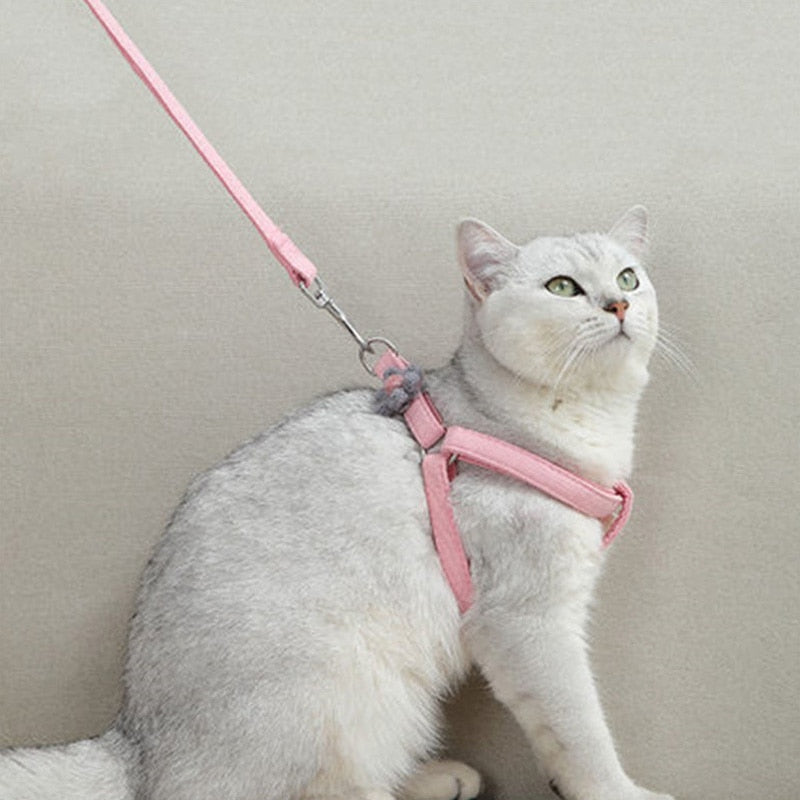 Blue Pink Pet Harness and Leash