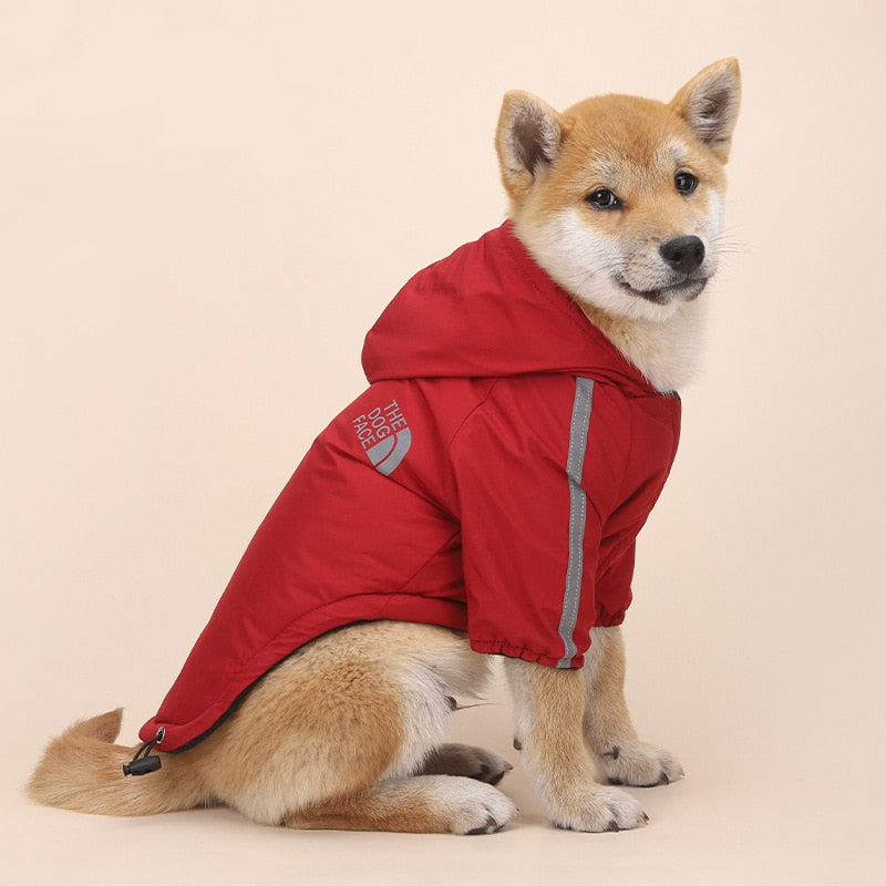 Windproof Raincoat for Small Dog