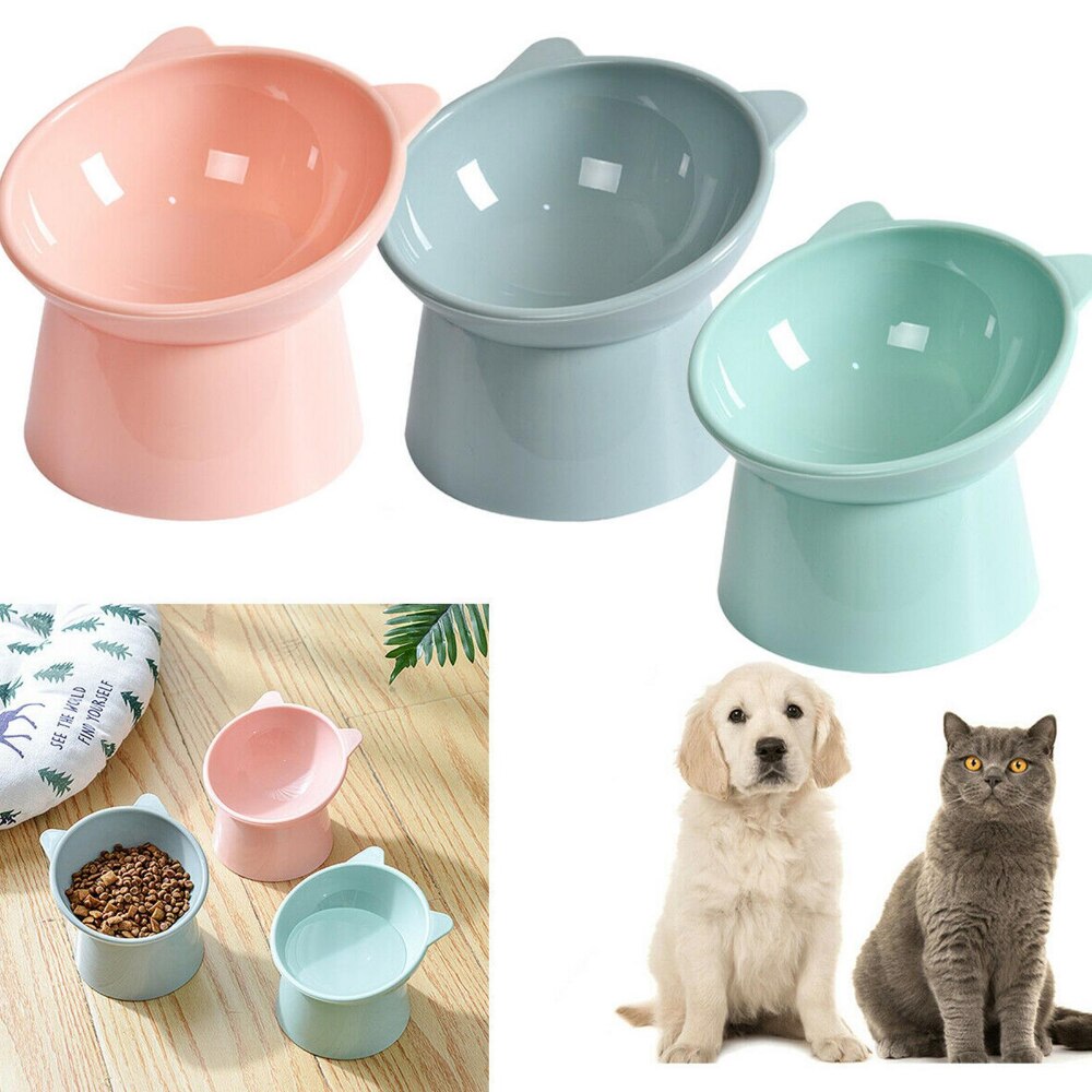 cat food bowl elevated stand4