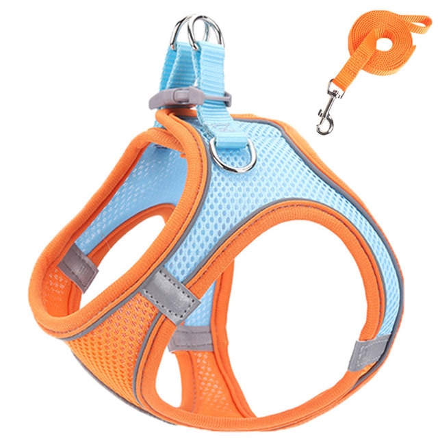 cat reflective adjustable harnesses & leashes set4