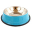 cat dog feeder color water bowl10
