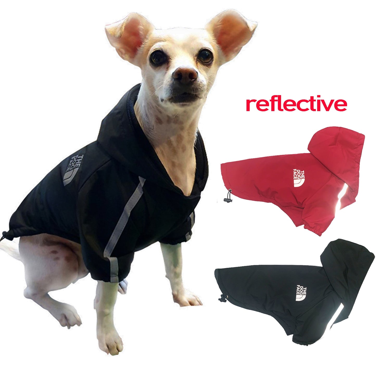 Windproof Raincoat for Small Dog