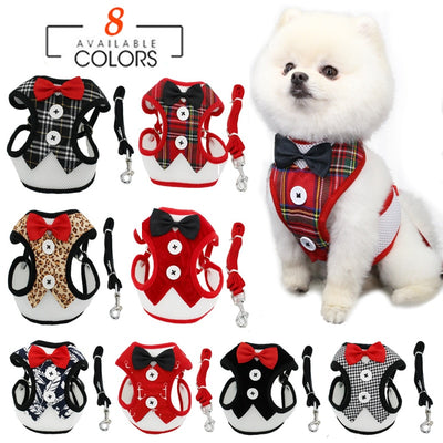 White dog sitting next to a wide range of Elegant Bow Collar Harness for Small to Medium Dogs. 