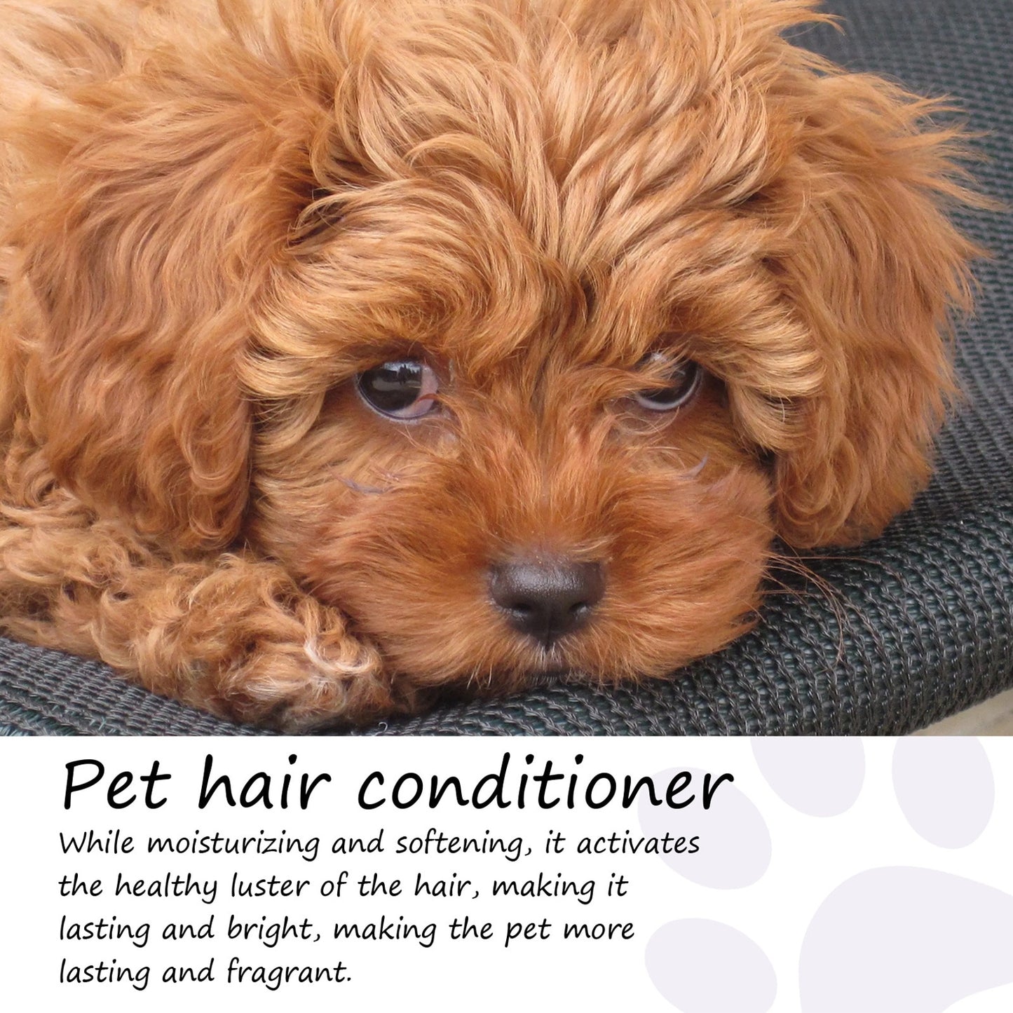 50ml Pet Hair Conditioner Pet Hair Cleaning Care