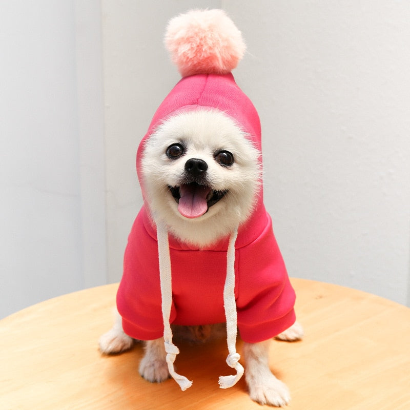 coat hoodies pet costume colorful warm cozy winter apparel3