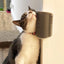 Pet Brush Comb Play Cat Toy Softer Cat Self Groomer Massage Comb with Catnip Cat