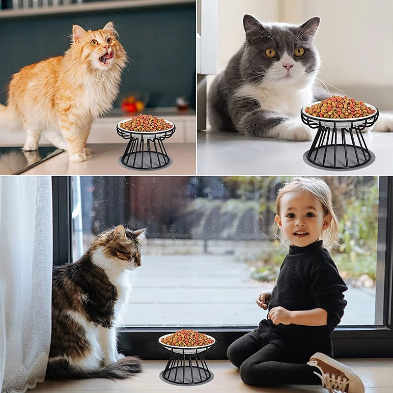 Cat Lift Bowl With Metal Stand