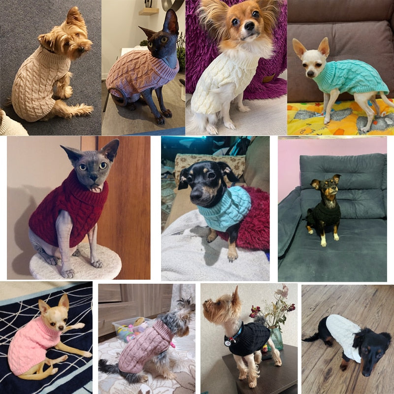 Sweaters for Small Dogs & Cats