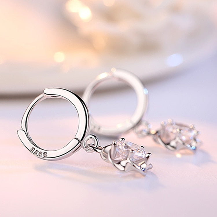 Silver Earrings Jewelry