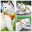 cat reflective adjustable harnesses & leashes set11