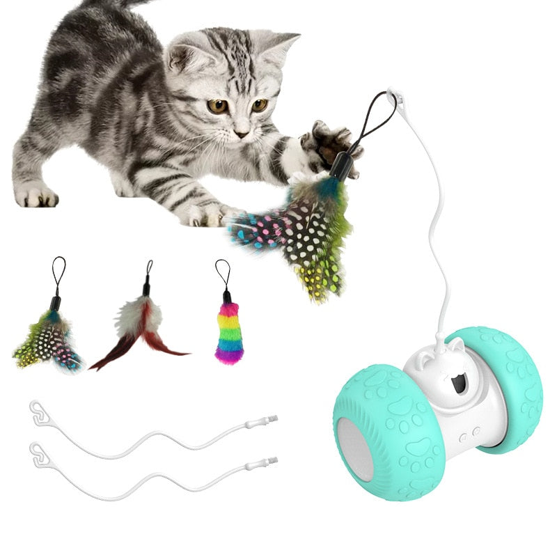 interactive electronic with mouse and feathers toys1