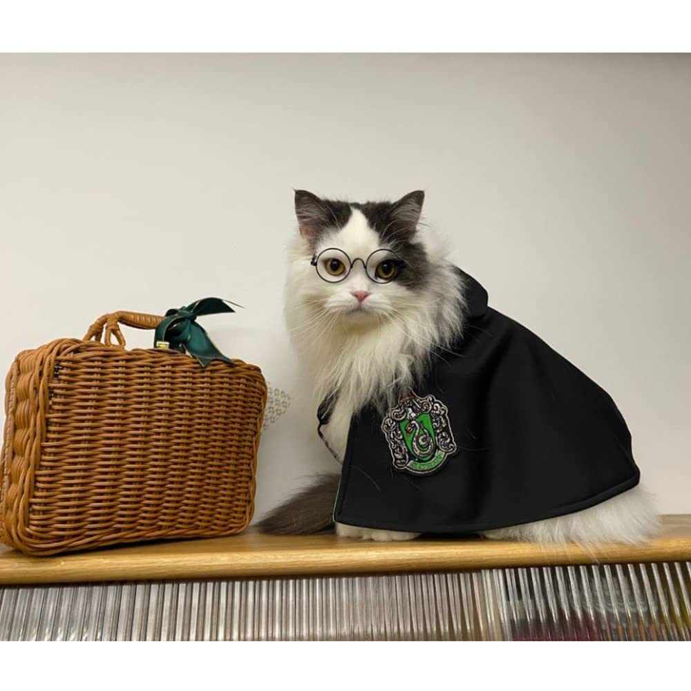 Cat Cosplay Small Magic Cloak Spring and Autumn Clothes