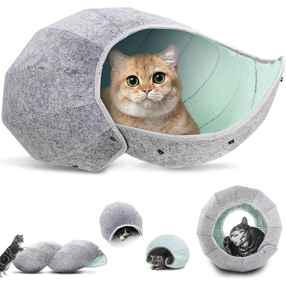 Cute Shell Cat  House