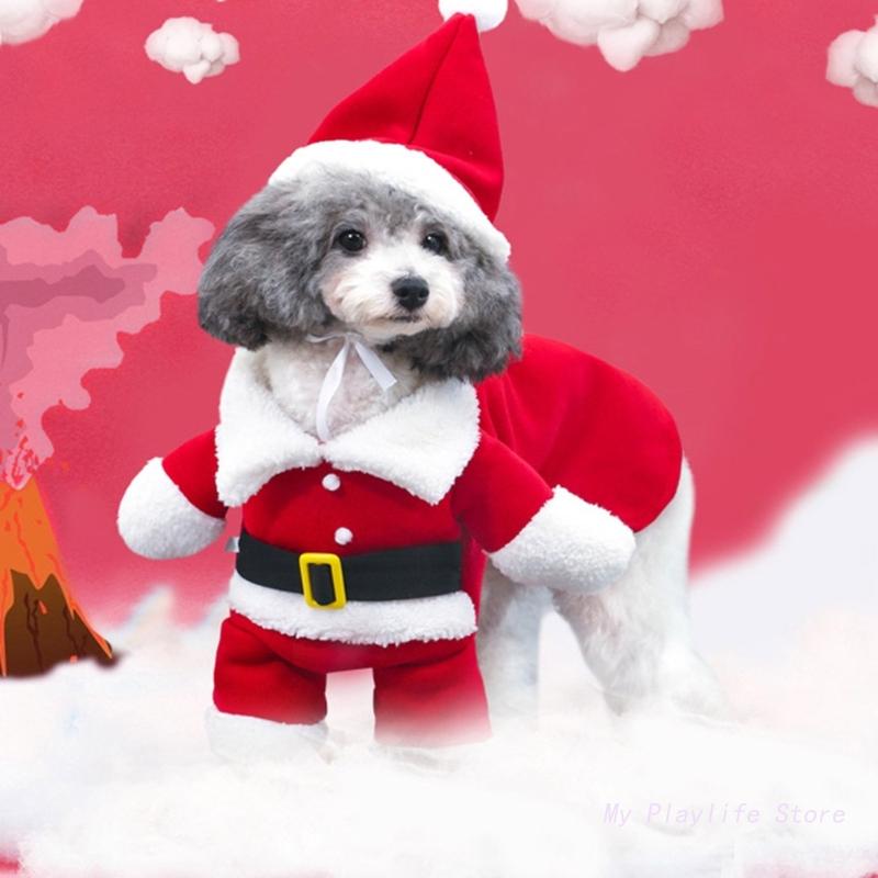 Santa Claus Dog Costume