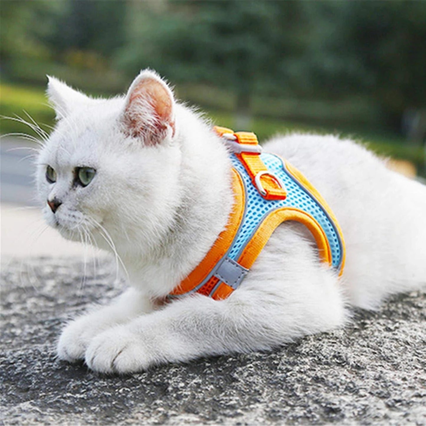 cat reflective adjustable harnesses & leashes set9
