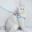 Blue Pink Pet Harness and Leash