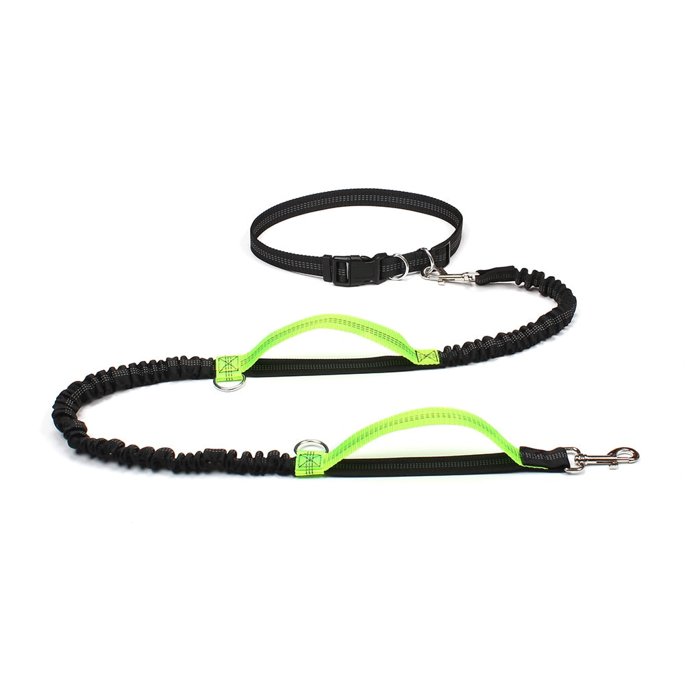 Retractable Hands Free  For Running Dual Handle Bungee Leash