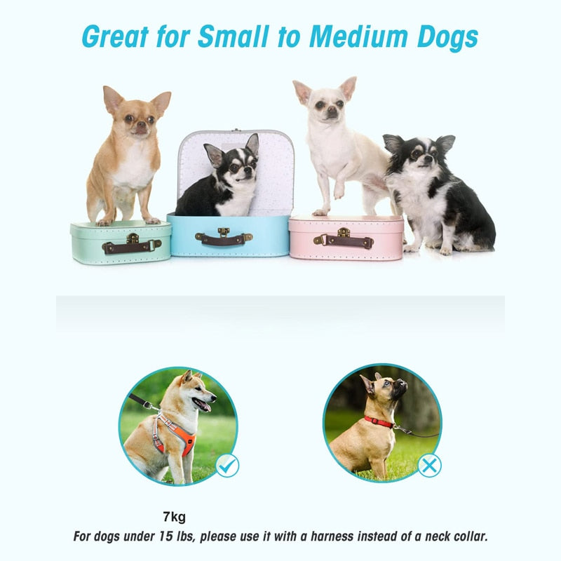 Nylon Dog Leash For All Dogs
