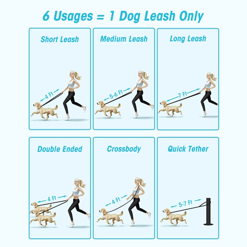 Nylon Dog Leash For All Dogs