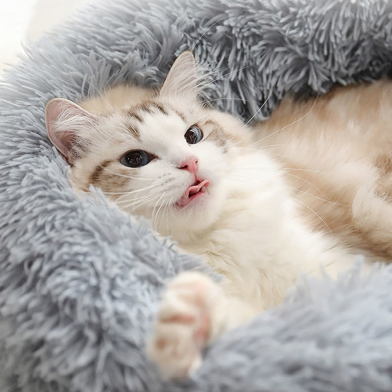 Cat Bed Family Round Plush Carpet Sofa Comfortable