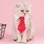Cat Necktie Gentleman