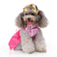 Pet Costumes For Dogs & Cats | Saint N Mike