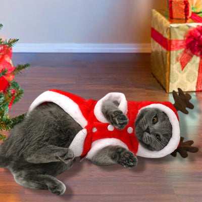 cat and dog christmas santa costume