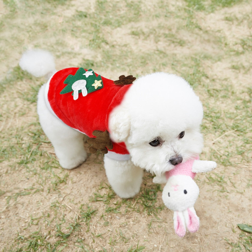 cat and dog christmas santa costume1