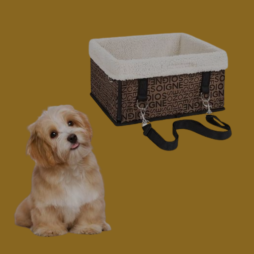 An image of a small dog next to the brown-and-white fleece-lined pet car booster bucket seat sold by Saint N Mike.