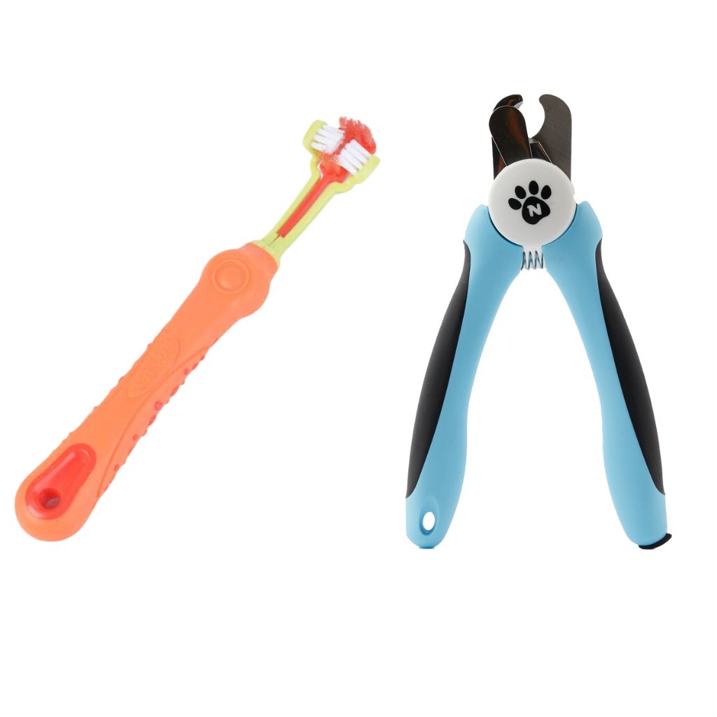 combo deal, pet toothbrush and precision nail trimmer three sided toothbrush sharp dog and cat nail trimmers19