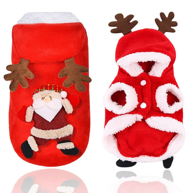 Christmas Inspired Dog Costumes & Outfits