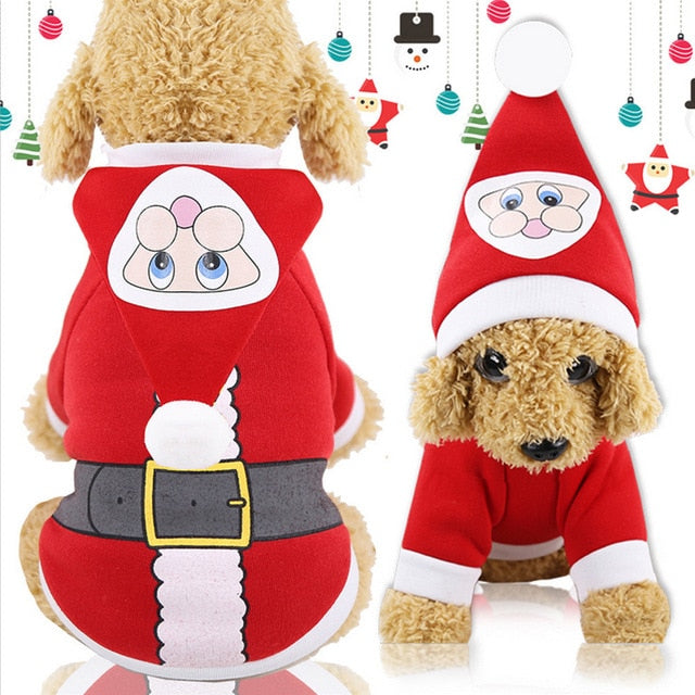 Christmas Inspired Dog Costumes & Outfits
