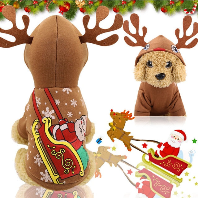Pet Holiday Costumes